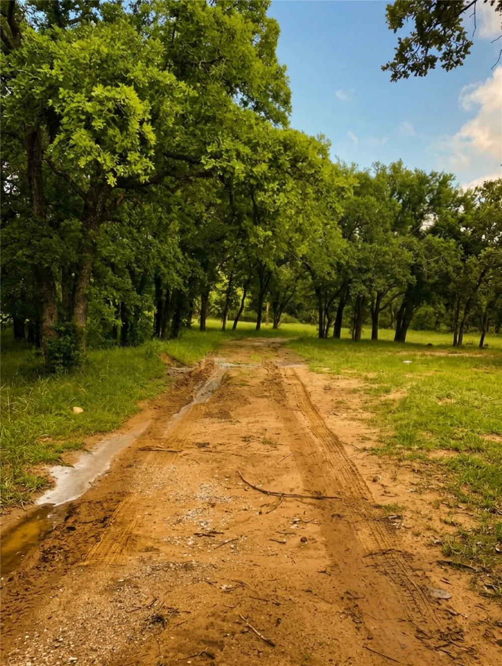 115 Lacewell Street Jacksboro, TX 76458