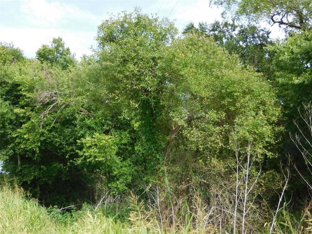 Fm 2114 Hubbard, TX 76648