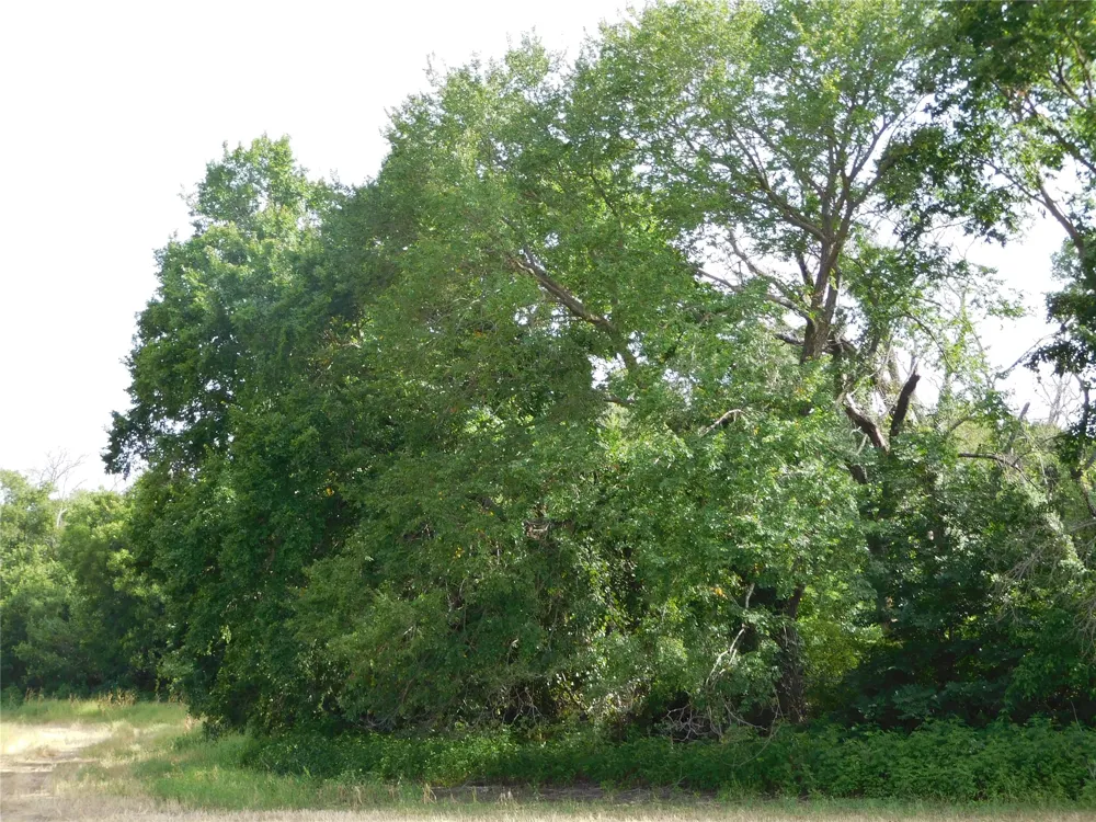 Fm 2114 Hubbard, TX 76648