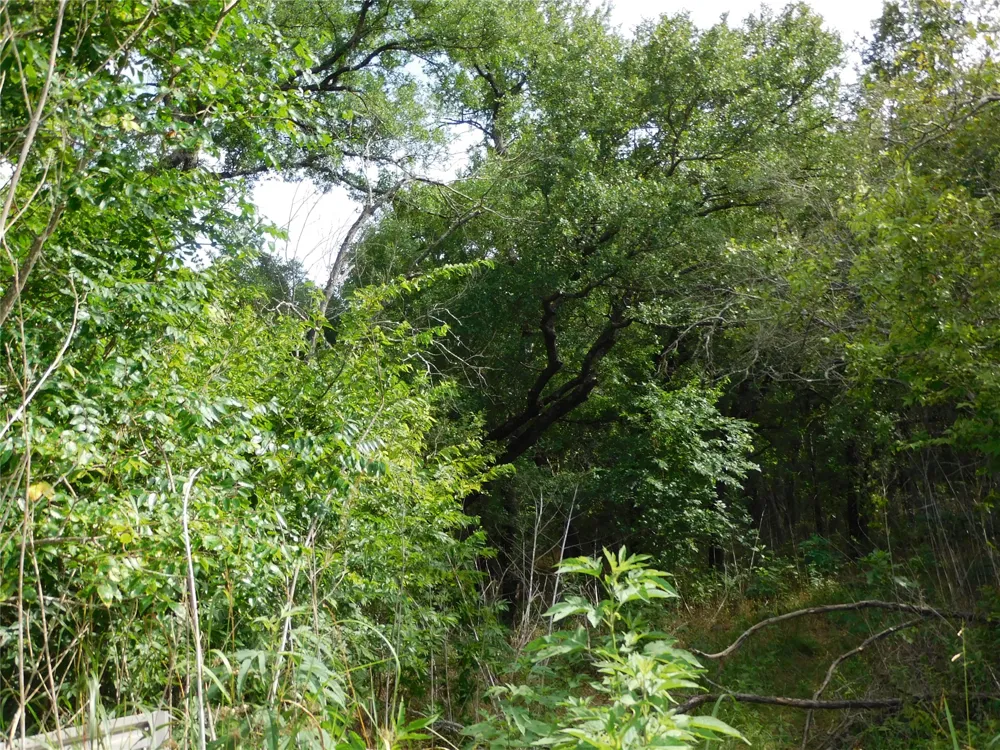 Fm 2114 Hubbard, TX 76648