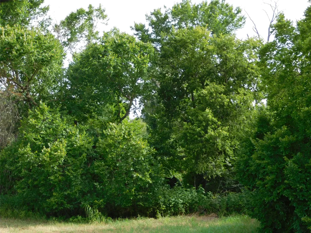 Fm 2114 Hubbard, TX 76648