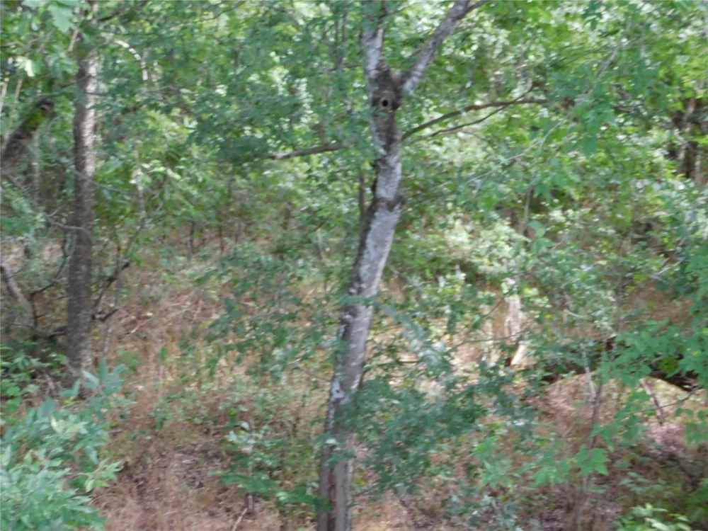 Fm 2114 Hubbard, TX 76648