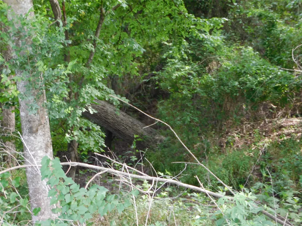Fm 2114 Hubbard, TX 76648