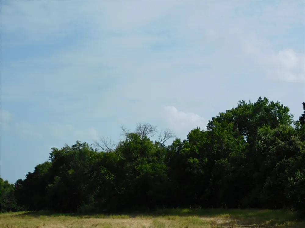 Fm 2114 Hubbard, TX 76648