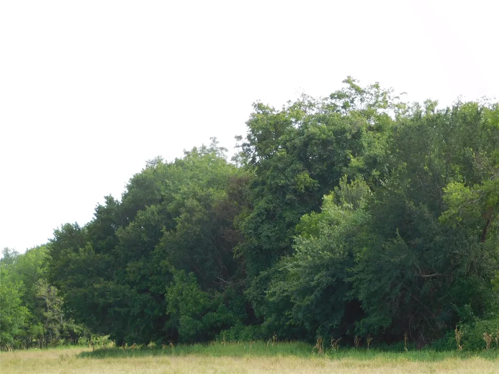 Fm 2114 Hubbard, TX 76648