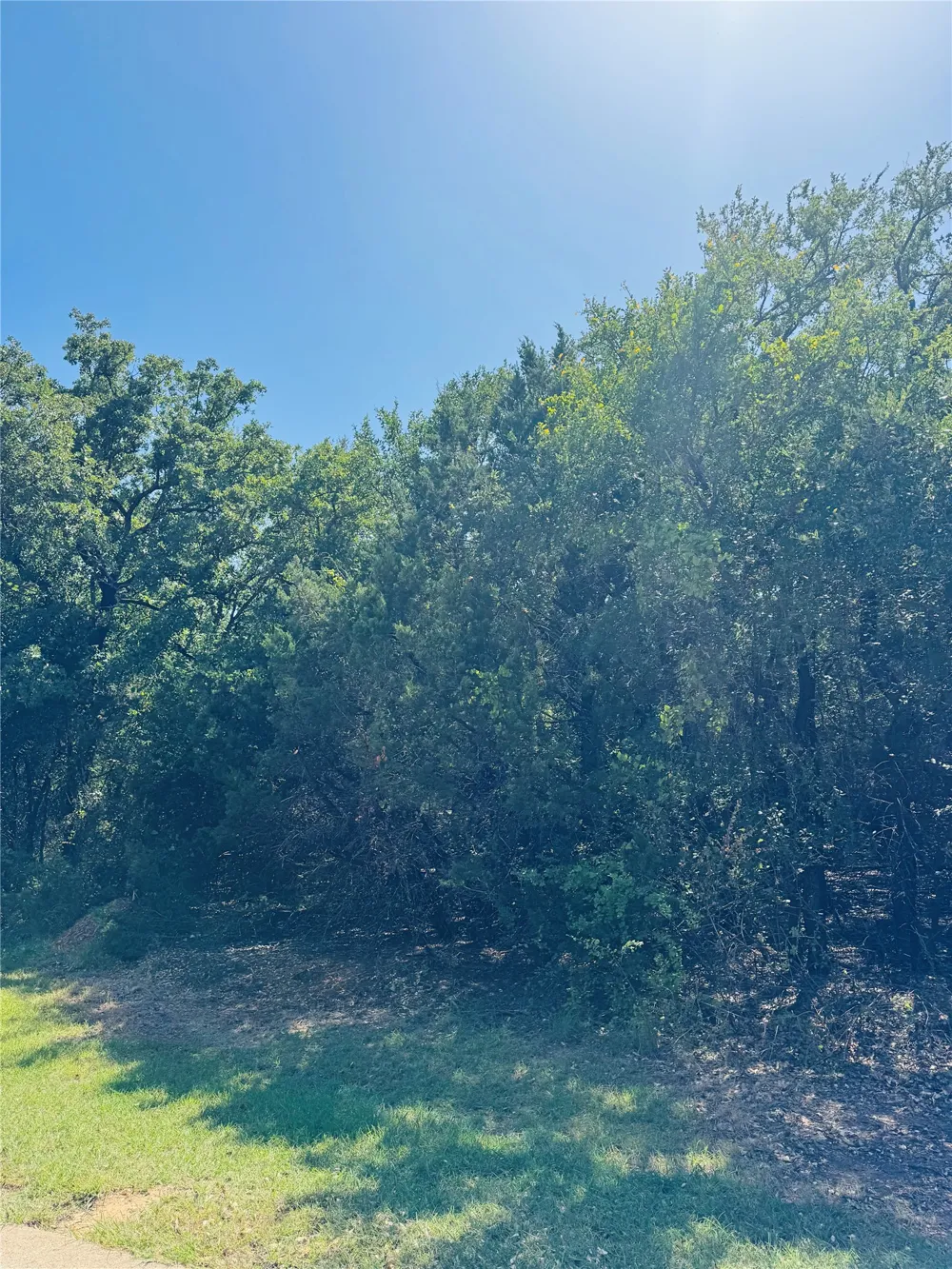 24019 Wood Hollow Drive Whitney, TX 76692