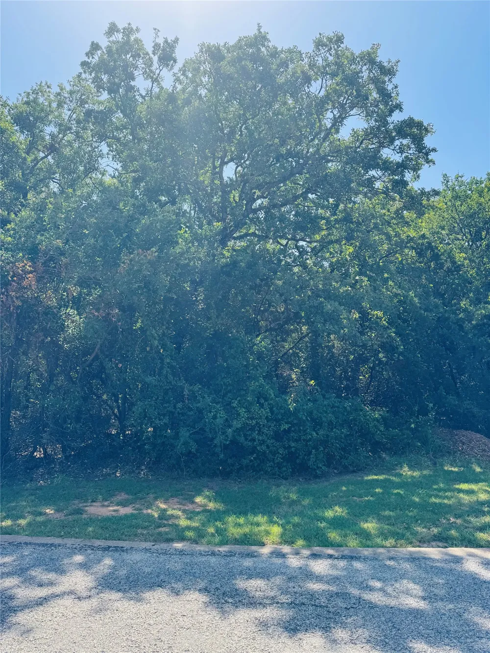 24019 Wood Hollow Drive Whitney, TX 76692