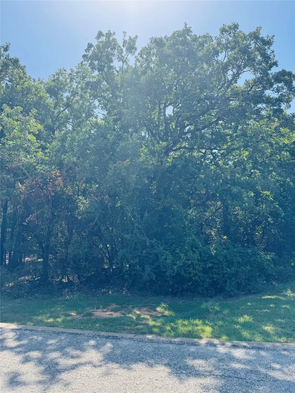 24019 Wood Hollow Drive Whitney, TX 76692
