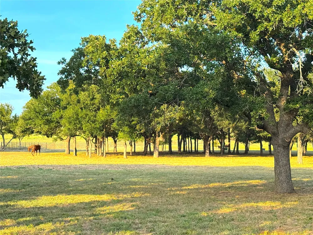 10670 Highway 281 Perrin, TX 76486