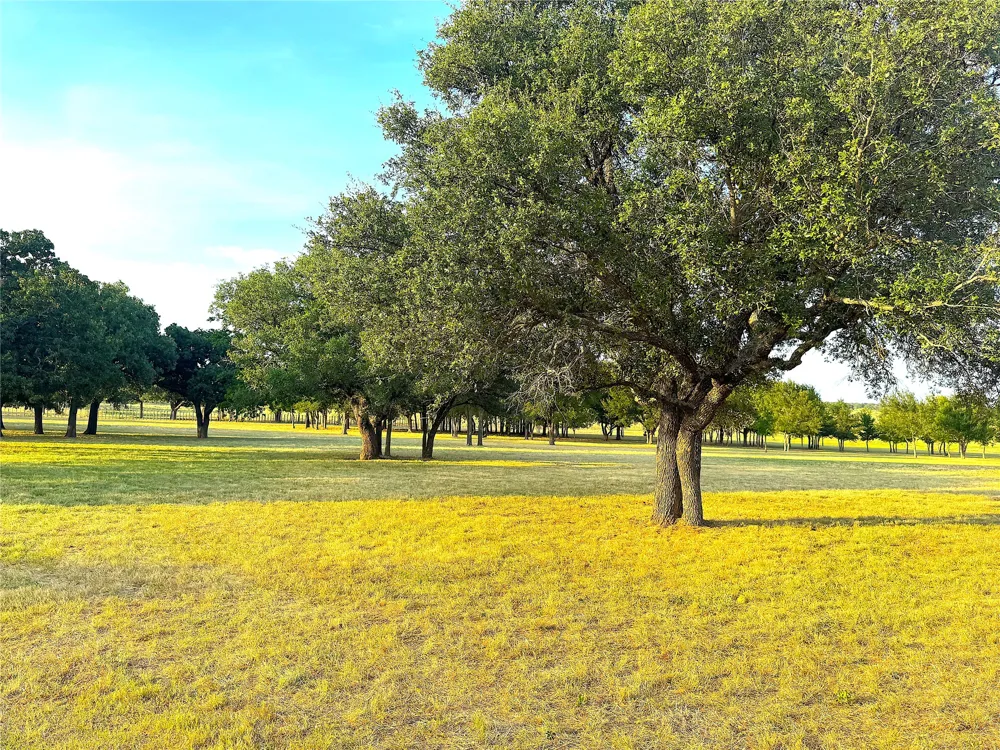 10670 Highway 281 Perrin, TX 76486
