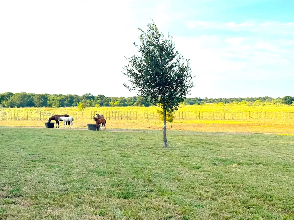 10670 Highway 281 Perrin, TX 76486