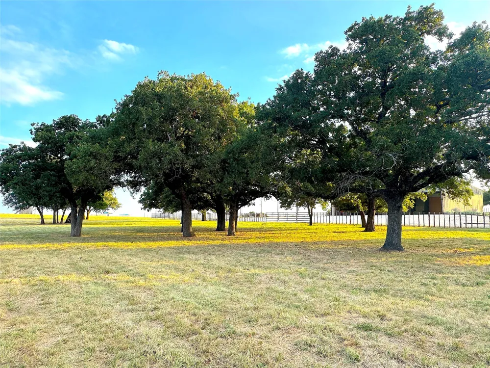10670 Highway 281 Perrin, TX 76486