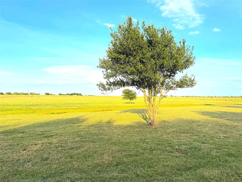 10670 Highway 281 Perrin, TX 76486
