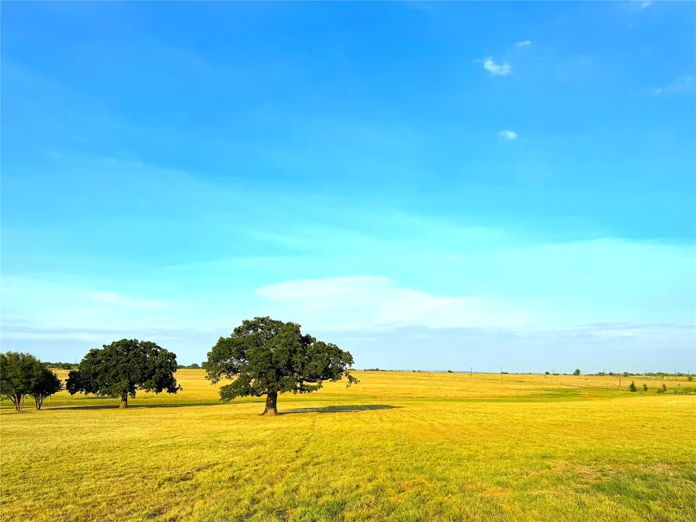 10670 Highway 281 Perrin, TX 76486