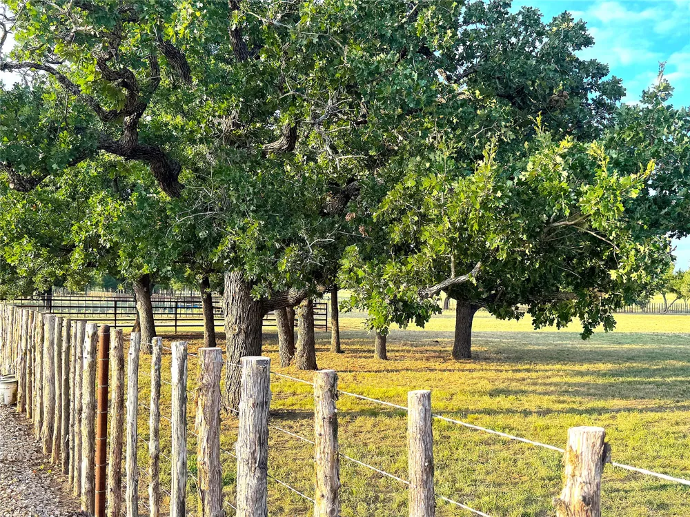 10670 Highway 281 Perrin, TX 76486