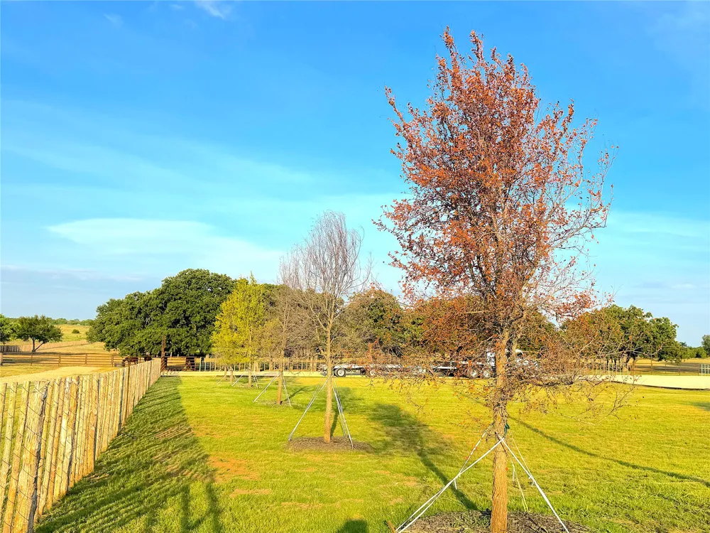 10670 Highway 281 Perrin, TX 76486