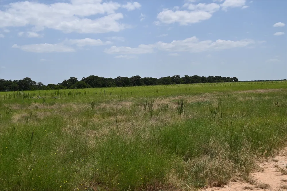 54 CR 195 Gorman, TX 76454