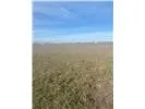 5000 CR 5000 Lorena, TX 76655