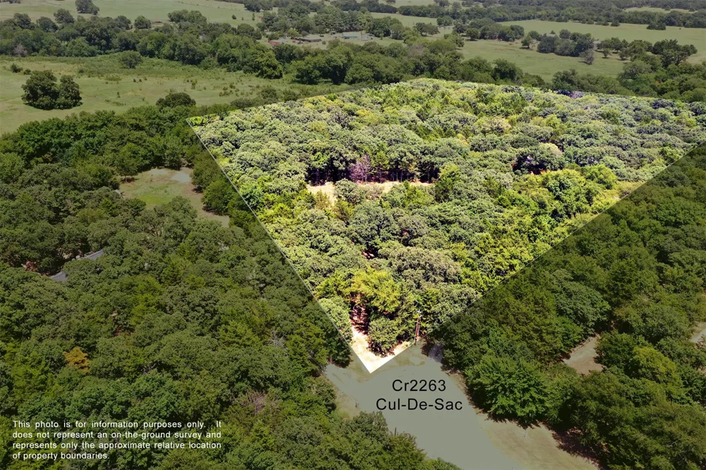 10 County Road 2263 Valley View, TX 76272