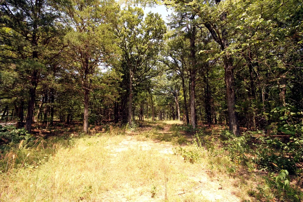 10 County Road 2263 Valley View, TX 76272