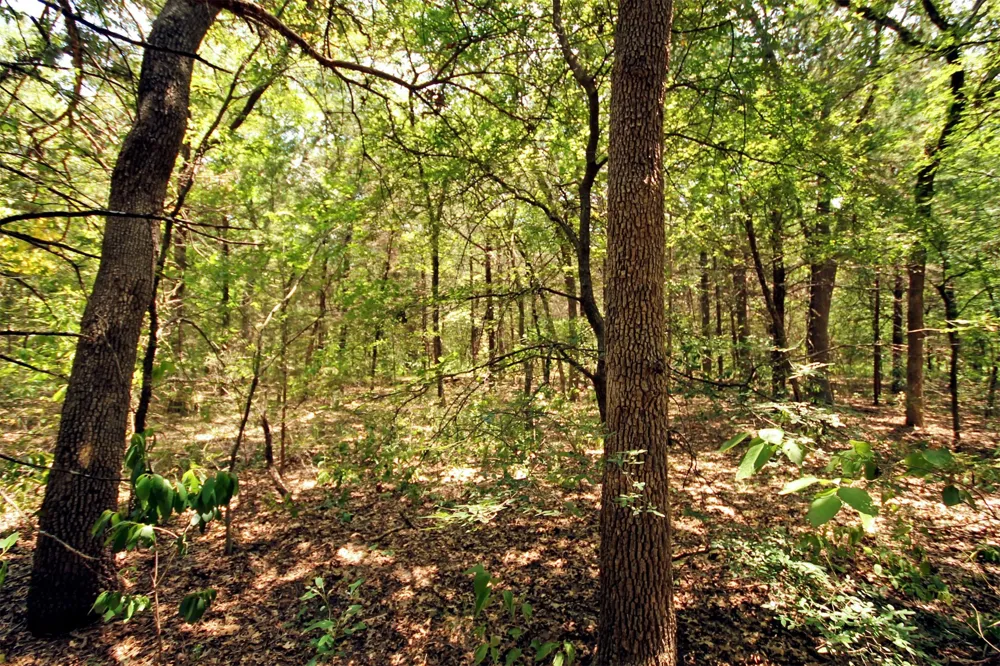 10 County Road 2263 Valley View, TX 76272