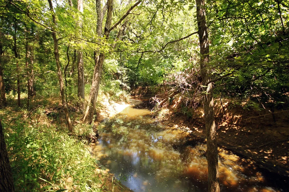 10 County Road 2263 Valley View, TX 76272