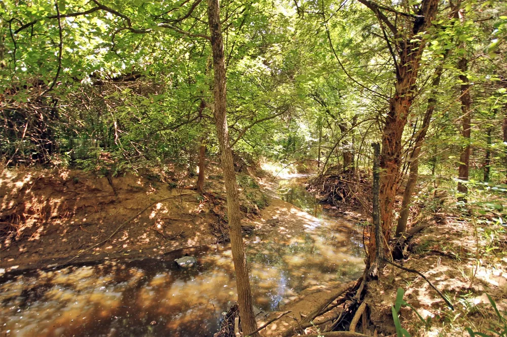 10 County Road 2263 Valley View, TX 76272