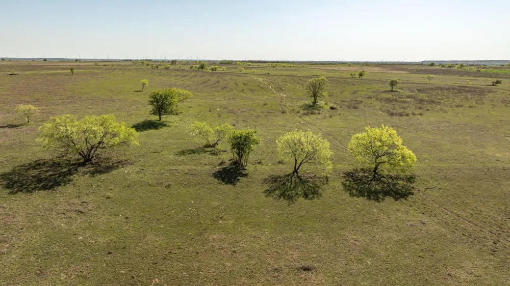 90 County Road 515 Energy, TX 76452