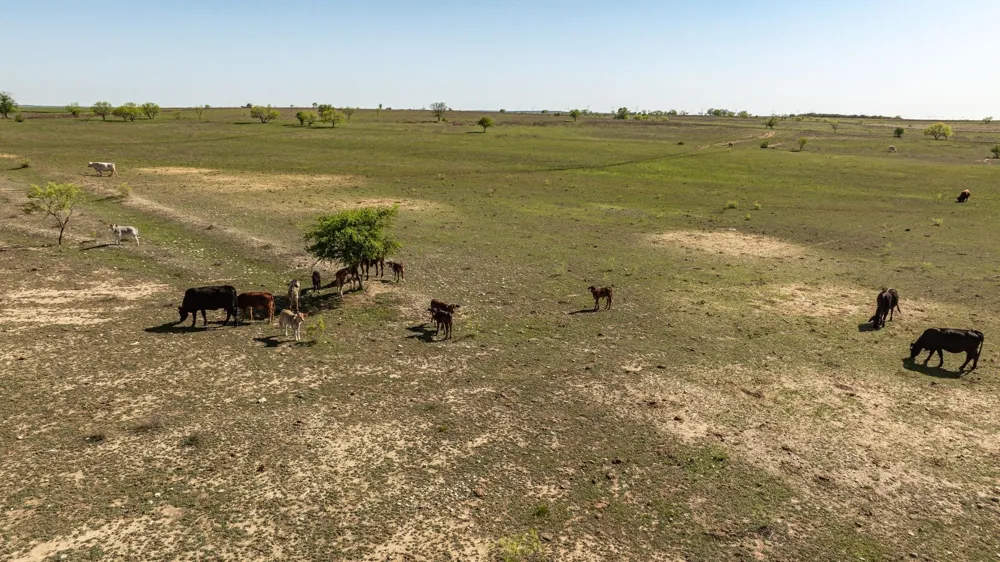 90 County Road 515 Energy, TX 76452