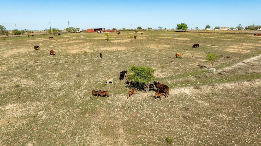 90 County Road 515 Energy, TX 76452
