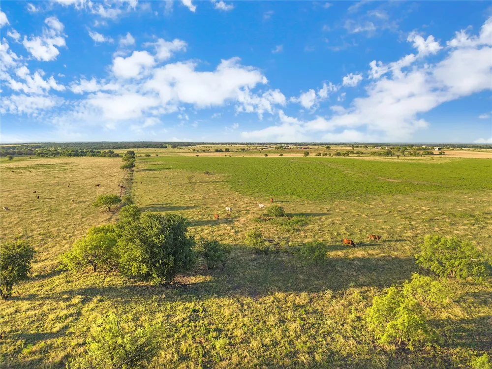 90 County Road 515 Energy, TX 76452