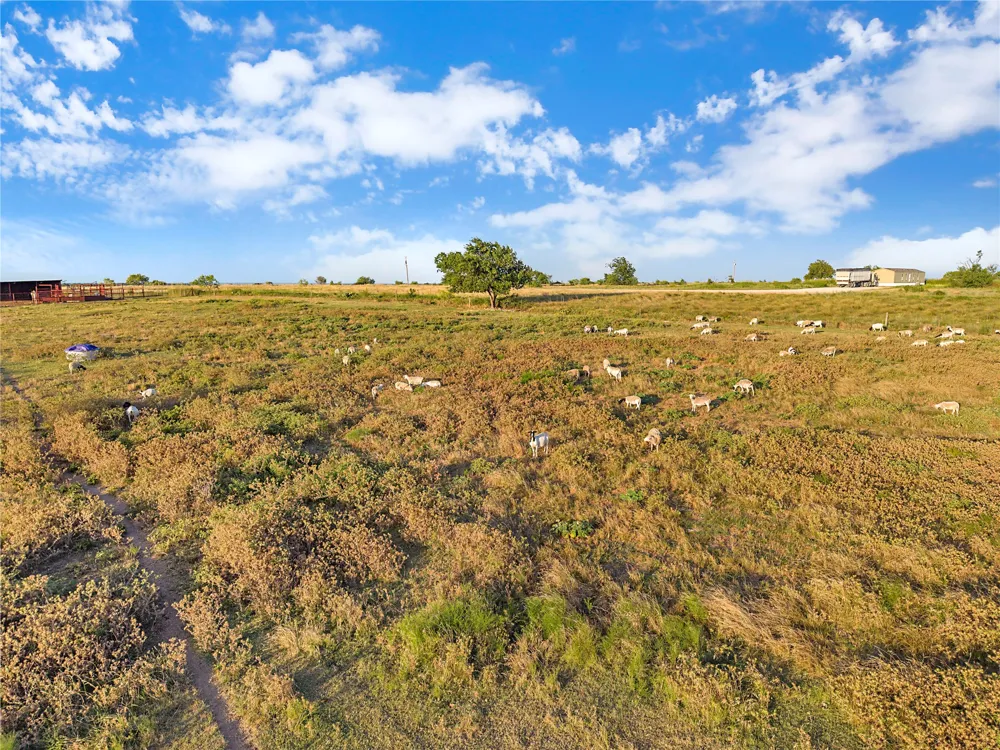 90 County Road 515 Energy, TX 76452