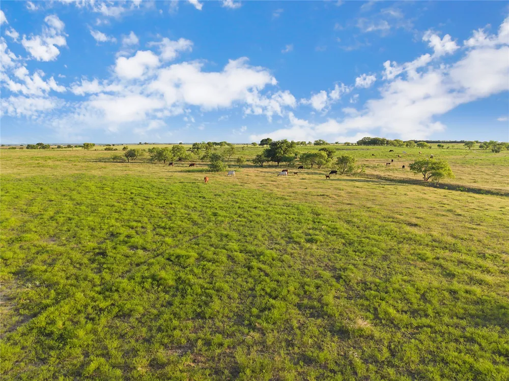 90 County Road 515 Energy, TX 76452