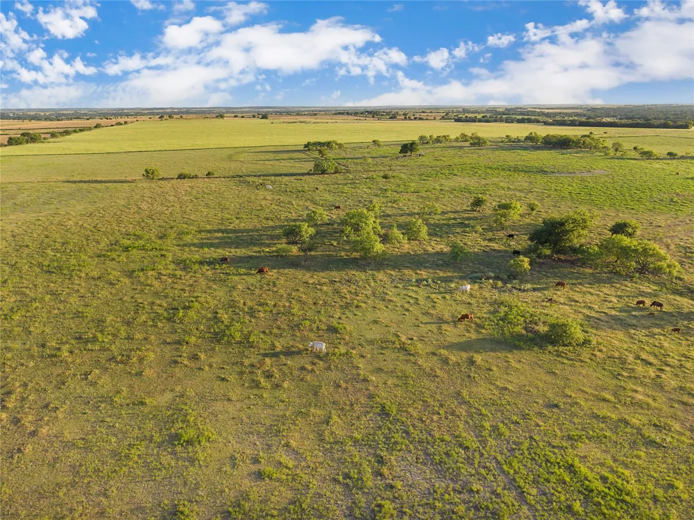 90 County Road 515 Energy, TX 76452