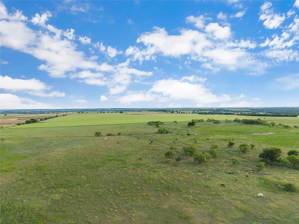 90 County Road 515 Energy, TX 76452