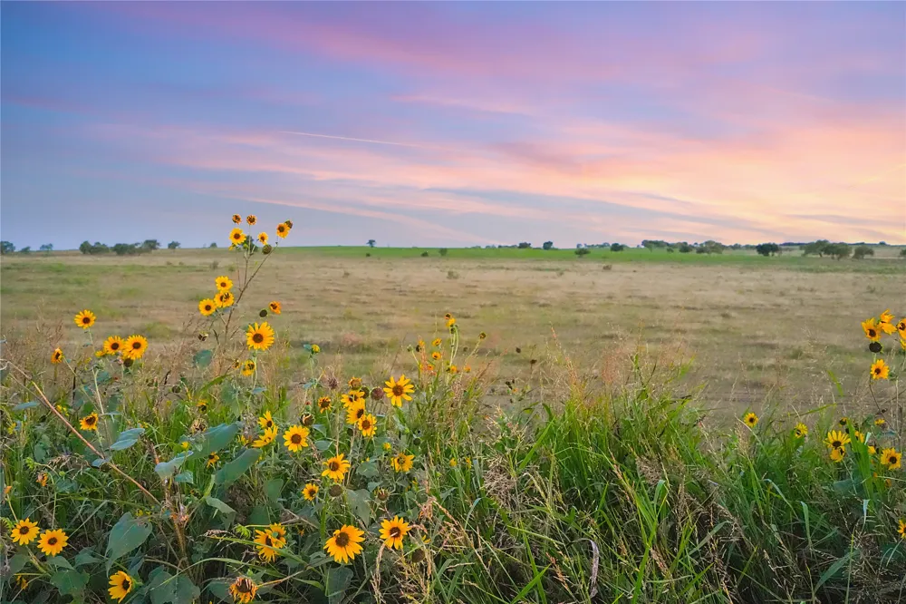 90 County Road 515 Energy, TX 76452
