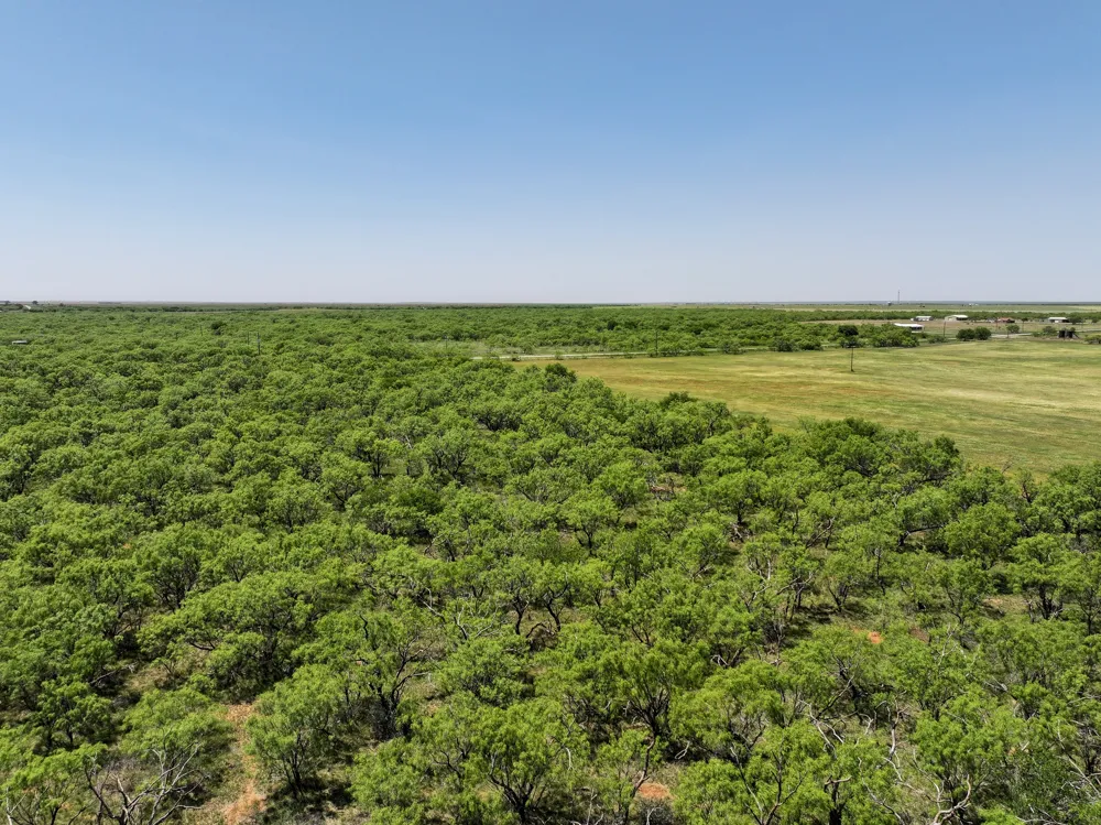 FM 3116 Hawley, TX 79525