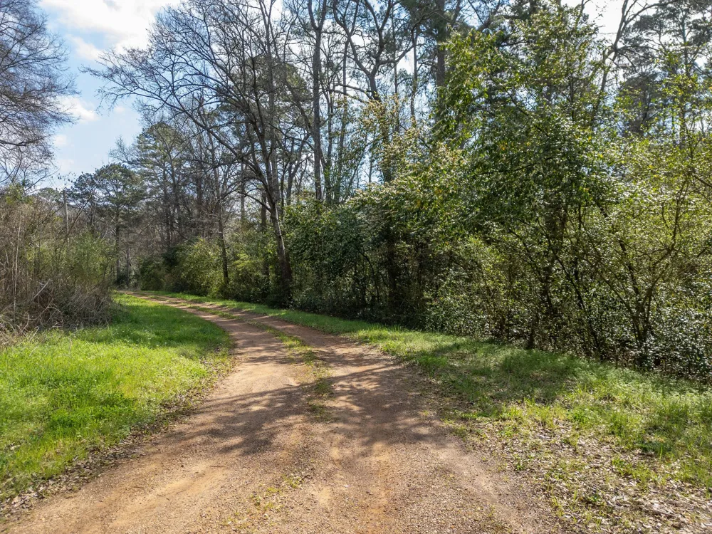 Jefferson Daingerfield, TX 75638