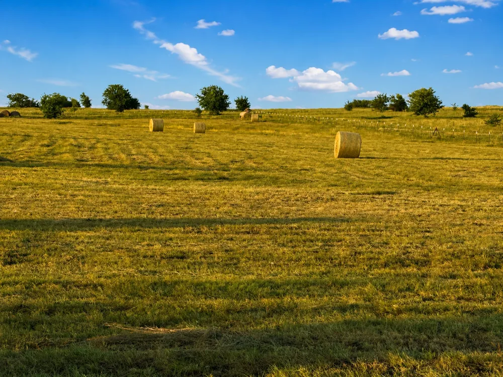 County Road 2625 Decatur, TX 76234