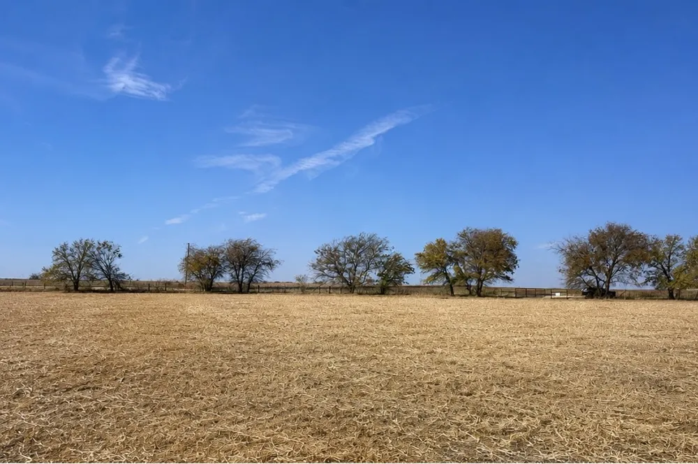 4411 TBD HCR Grandview, TX 76050