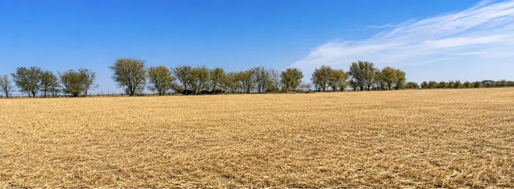 4411 TBD HCR Grandview, TX 76050