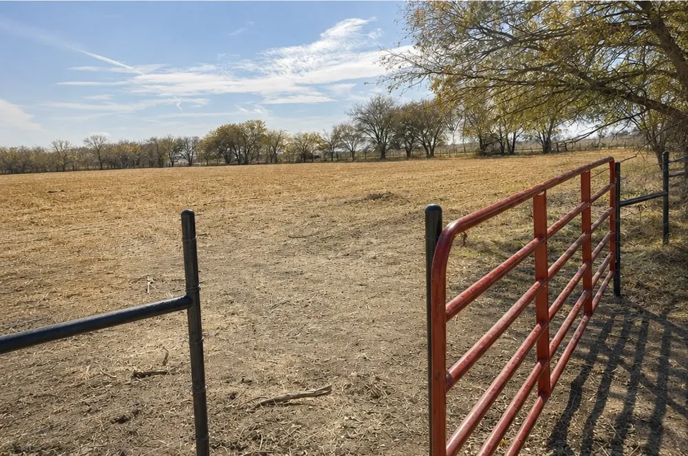 4411 TBD HCR Grandview, TX 76050