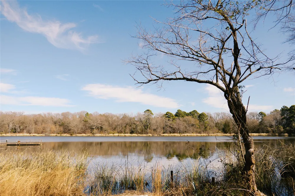 County Road 2200 Mineola, TX 75773