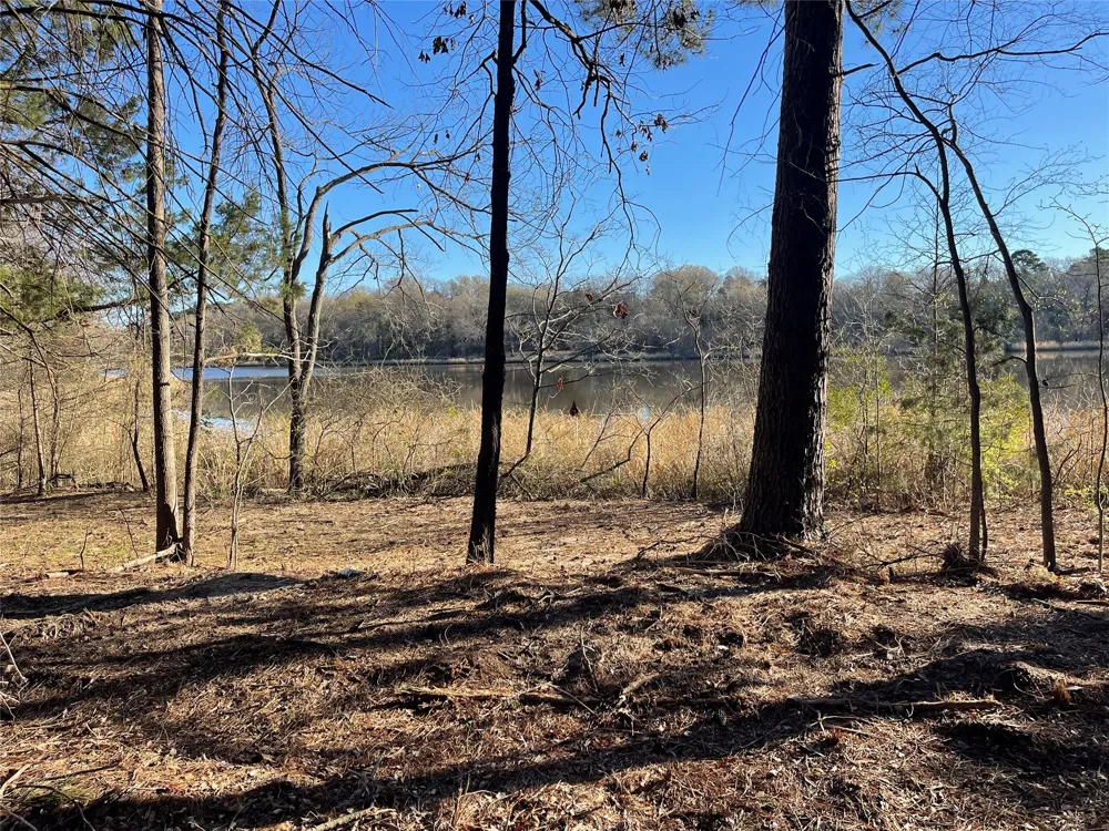 County Road 2200 Mineola, TX 75773