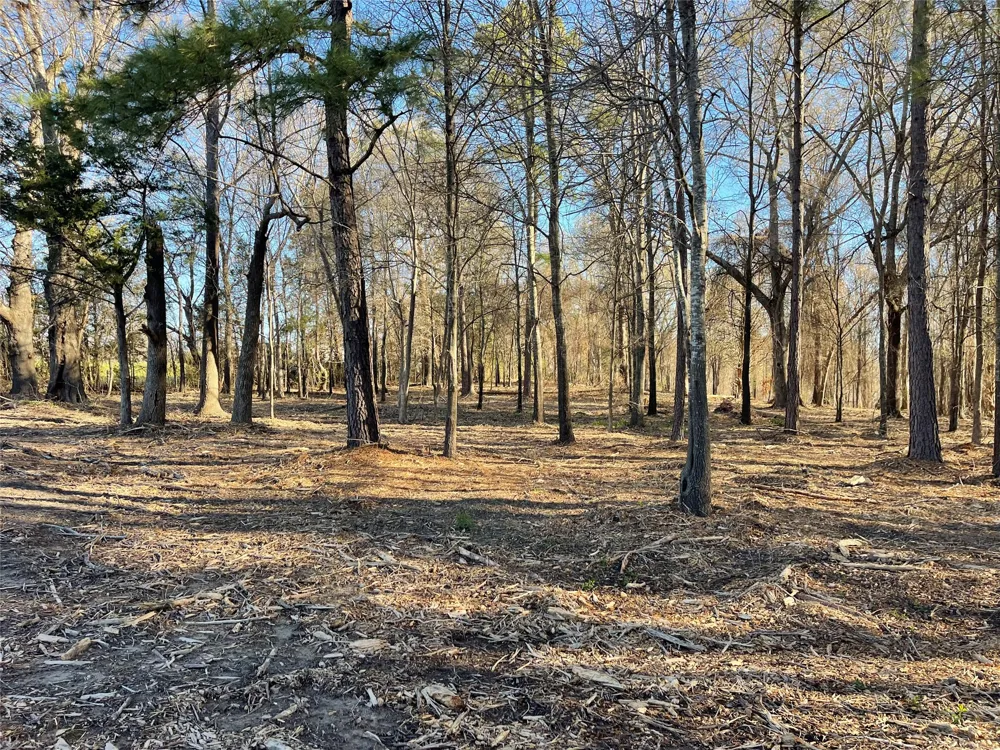 County Road 2200 Mineola, TX 75773