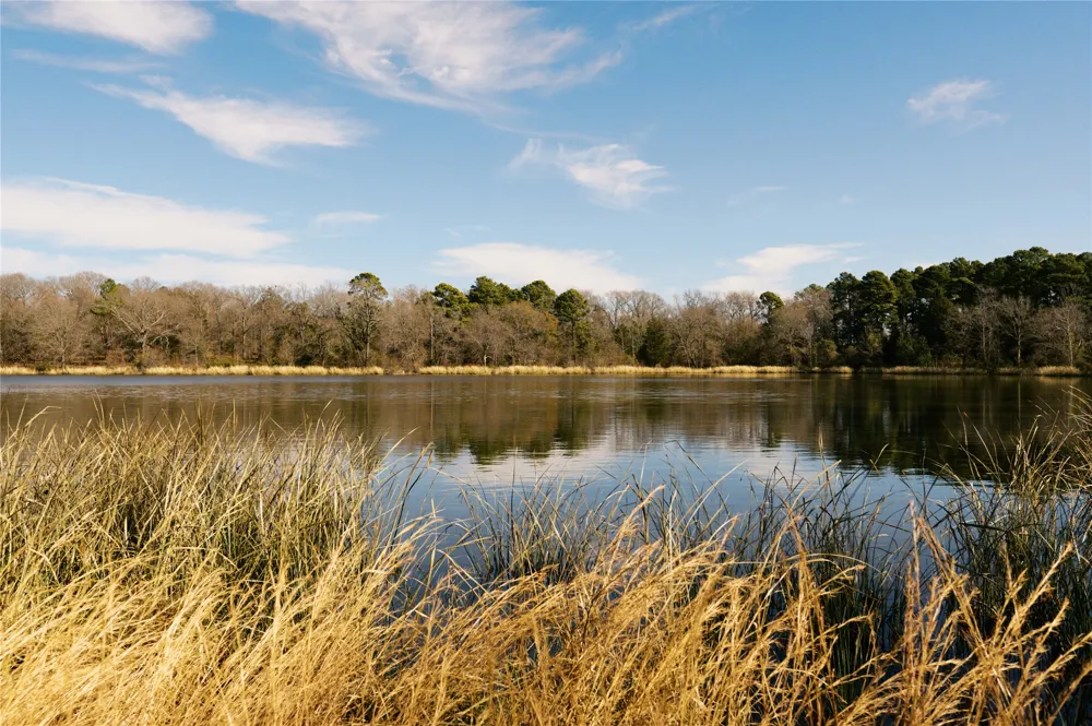 County Road 2200 Mineola, TX 75773
