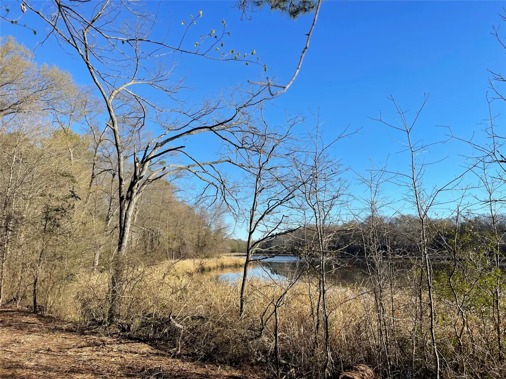 County Road 2200 Mineola, TX 75773