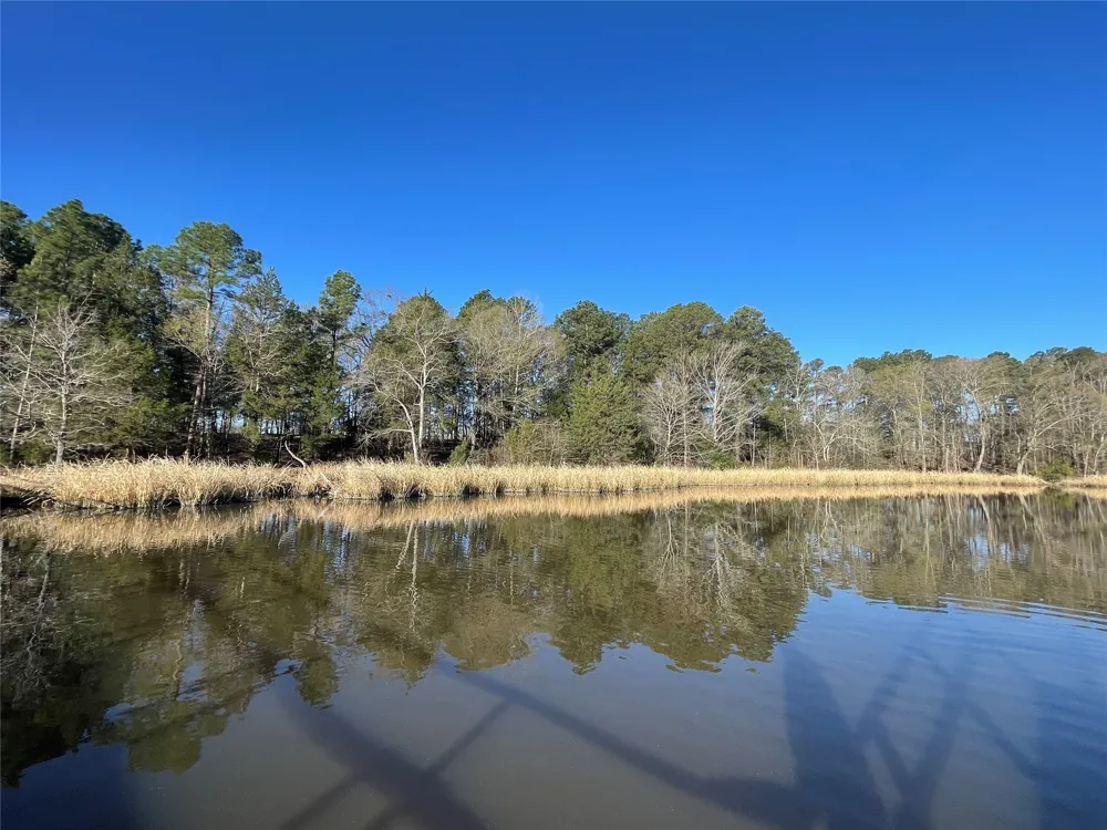 County Road 2200 Mineola, TX 75773