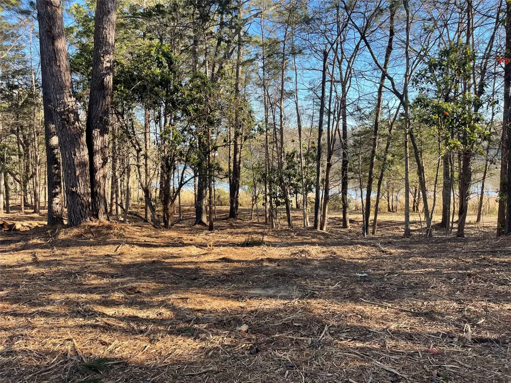 County Road 2200 Mineola, TX 75773