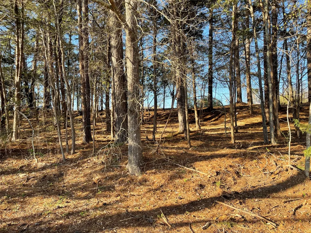 County Road 2200 Mineola, TX 75773